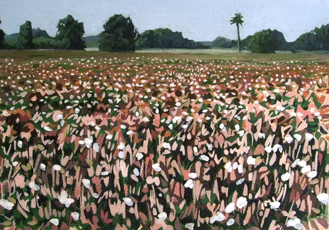 Cotton Field