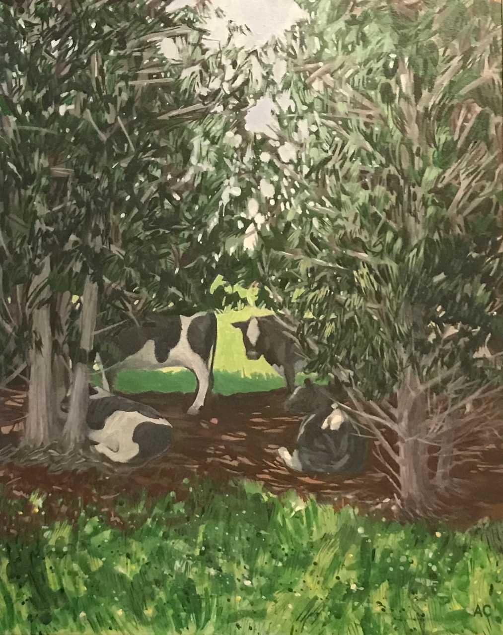 Duntroon, North Otago