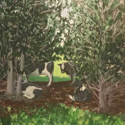 Duntroon, North Otago