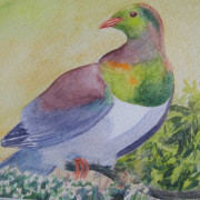 Kereru