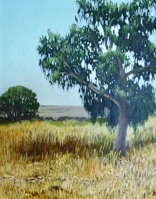 Northern Galilee