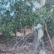 Near the Seal of Galilee